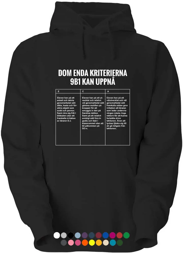 Klasströja Skoltröja med betygskriterier